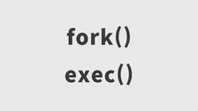 [면접 질문] Fork와 Exec의 차이